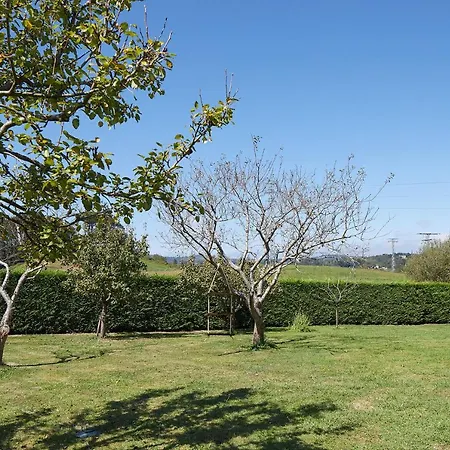 La Palmera - Landetxea Casa rural *