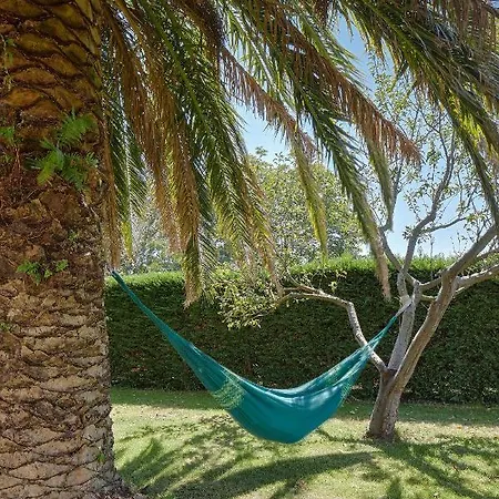 La Palmera - Landetxea Lasarte-Oria