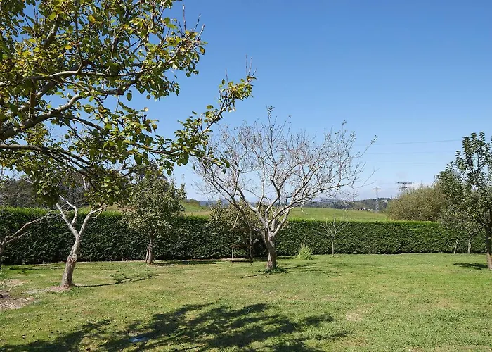 La Palmera - Landetxea Country house *