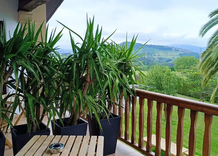 La Palmera - Landetxea Lasarte Oria