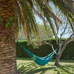 La Palmera - Landetxea Lasarte-Oria